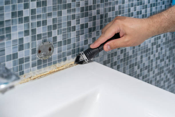 Best Water Damage Restoration  in Chicago Heights, IL